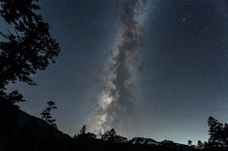 Celebrities at night